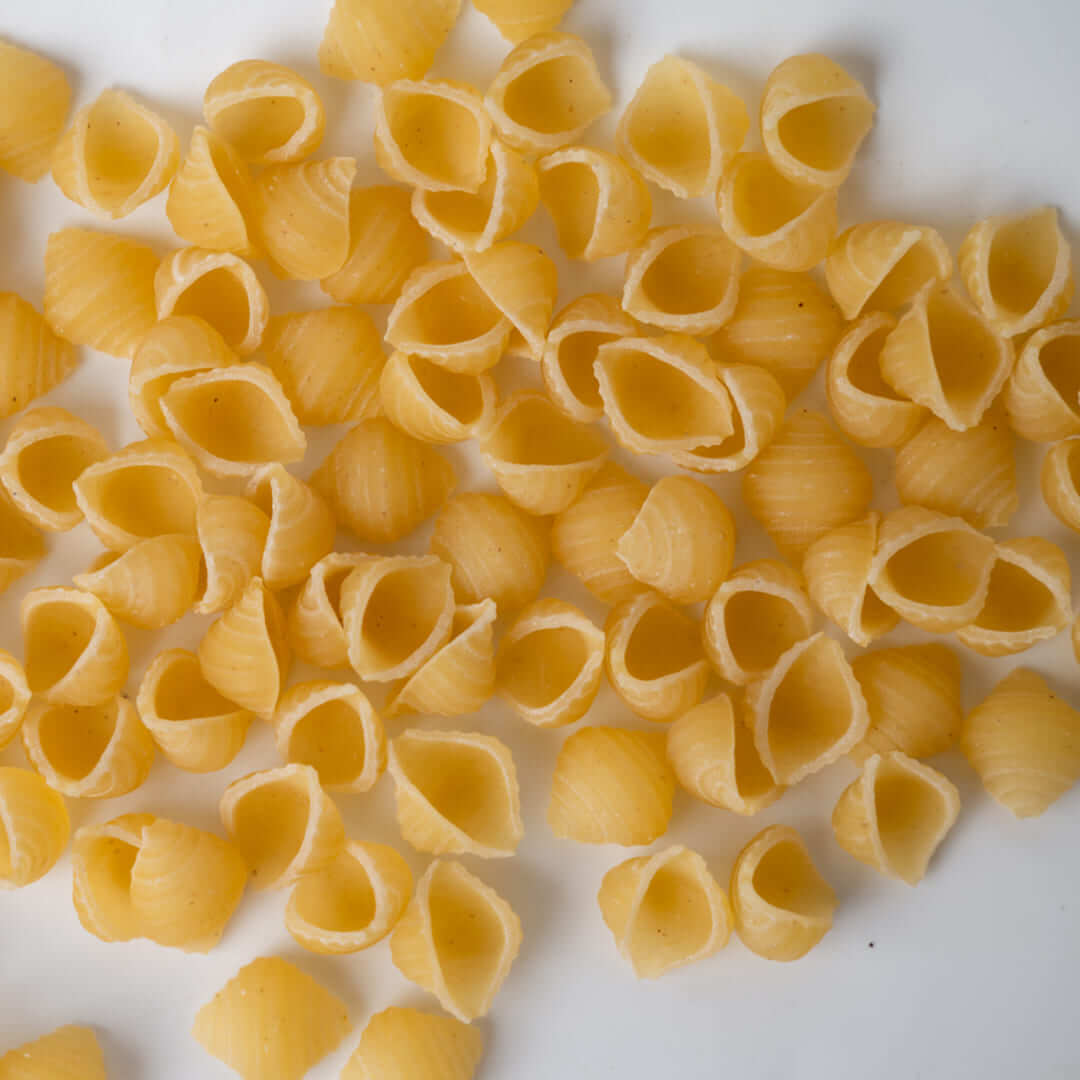 Cocciolette 4 - Pasta Lori Res