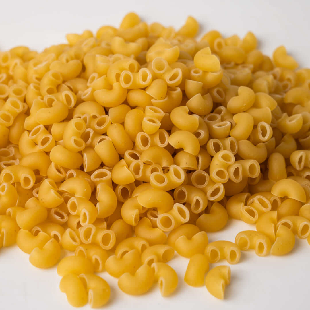 Coquillette 4 - Pasta Lori Res