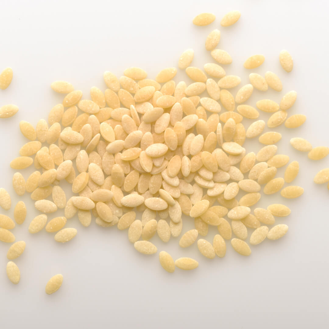 Seme Cicoria 2 - Pasta Lori Res