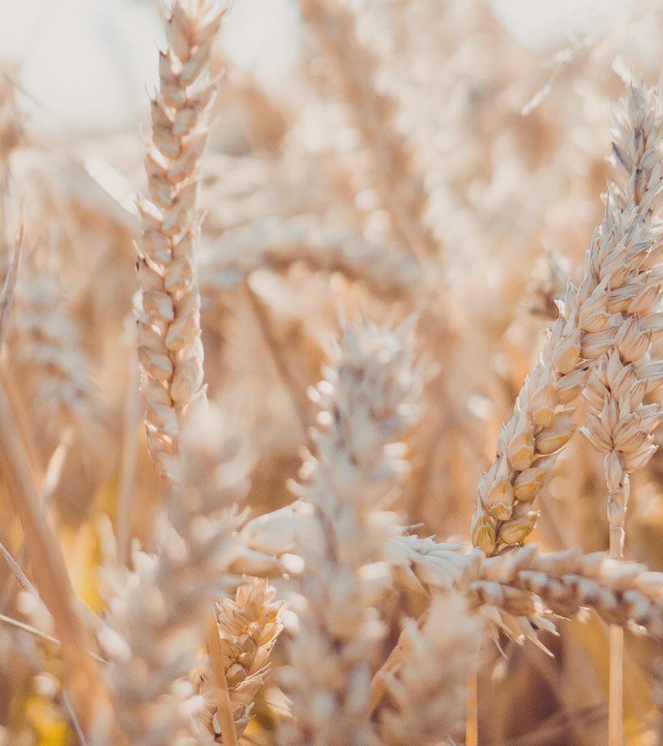 h7 rev slide 3 right1